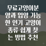 무료고양이분양