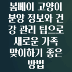 봄베이고양이분양