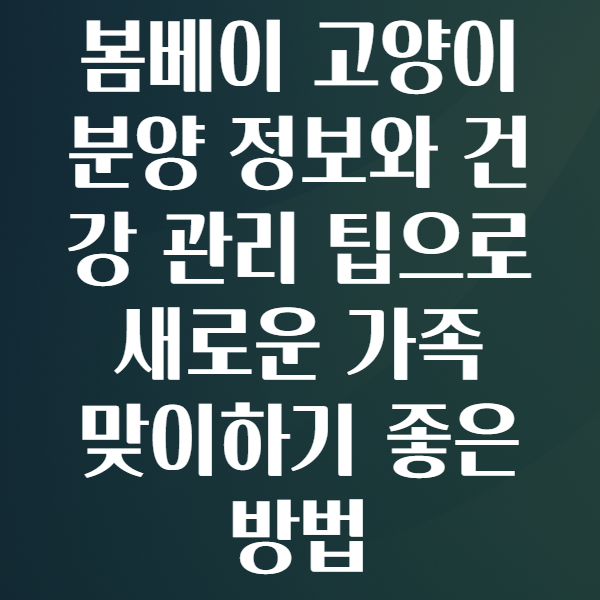 봄베이고양이분양