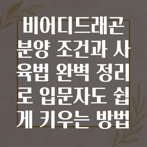 비어디드래곤분양